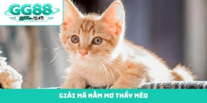 nằm mơ thấy mèo