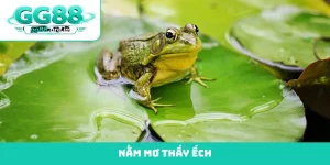 nằm mơ thấy ếch